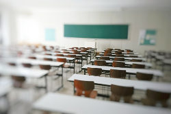 カラー教室ハルモニア学校関連向けサービス